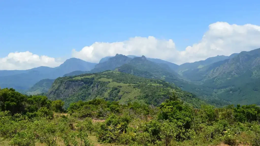 mountain 2
